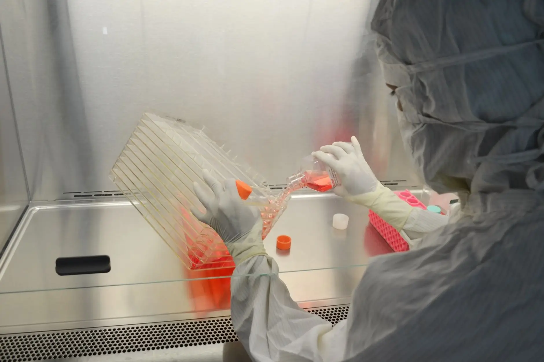 A gowned scientist working with cell cultures in a controlled biotechnology cleanroom, the kind of environment Eltek monitors for temperature, humidity and cryogenic storage with audit-ready records