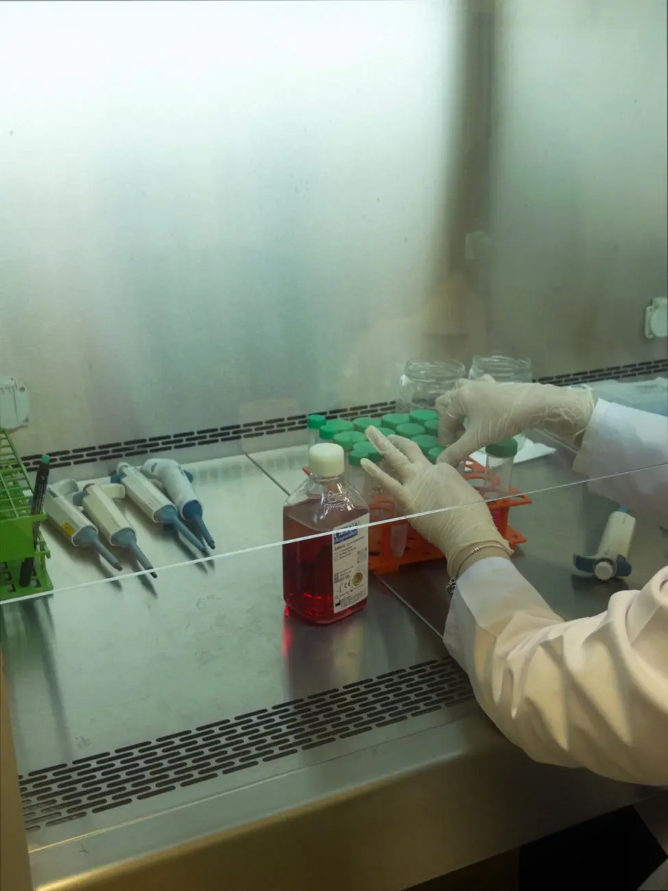 A gloved scientist handling cell-culture media inside a laminar-flow safety cabinet, the kind of controlled cell and gene therapy environment Eltek monitors continuously