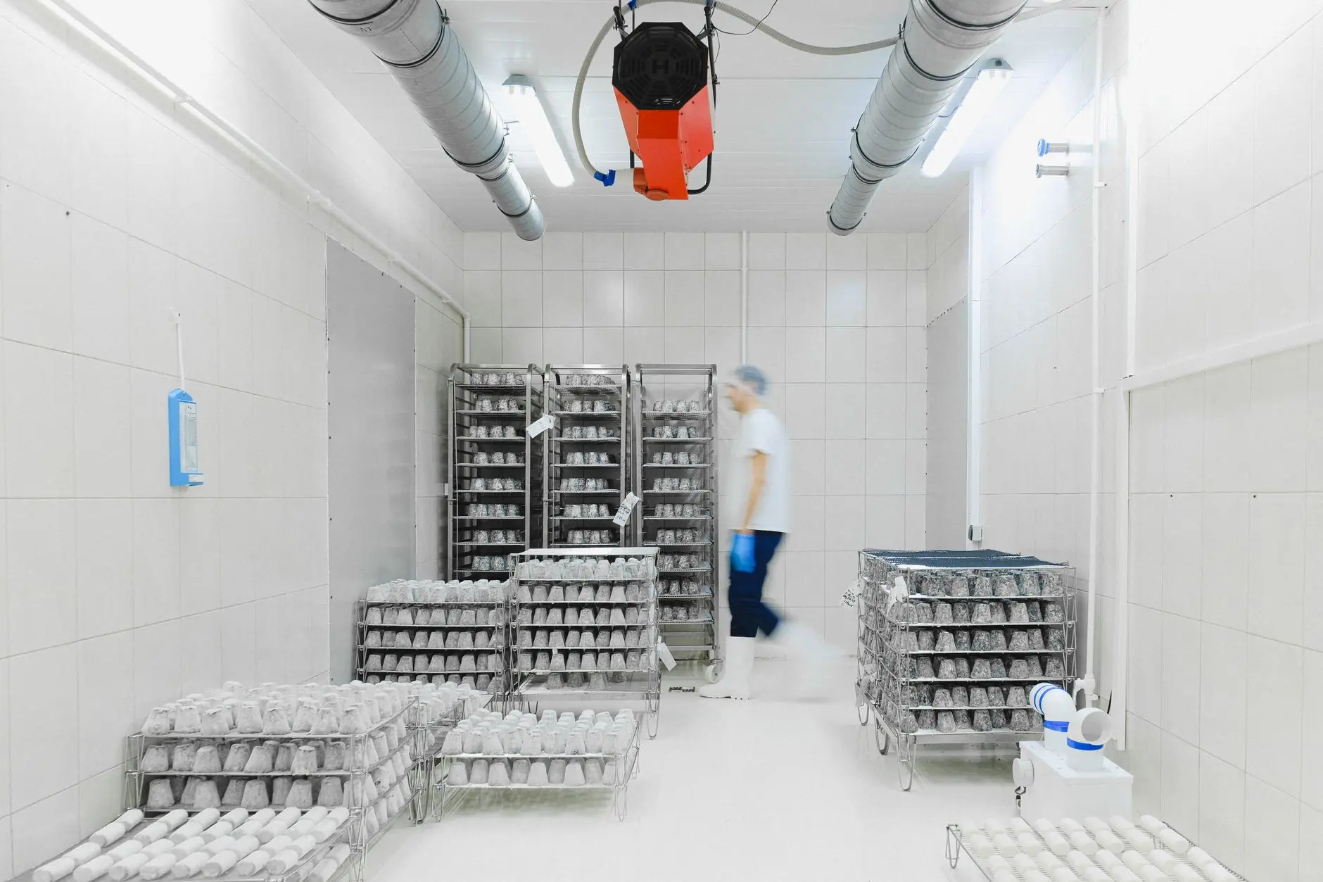 A worker in a bright, temperature-controlled cold storage room lined with racked stock beneath an overhead refrigeration unit, the kind of regulated cold storage Eltek maps before use and monitors continuously