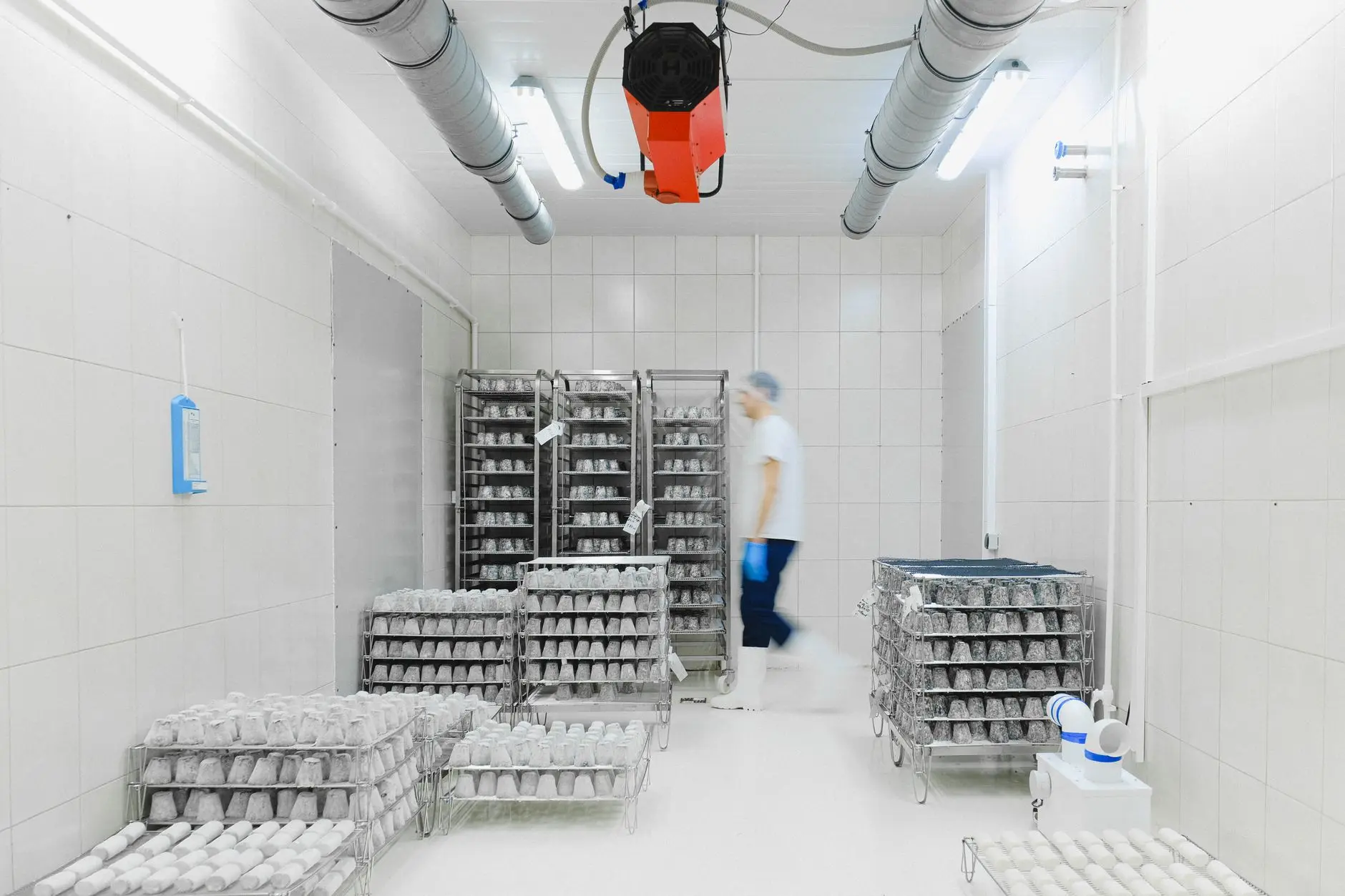 A cold storage facility with racked, temperature-sensitive products