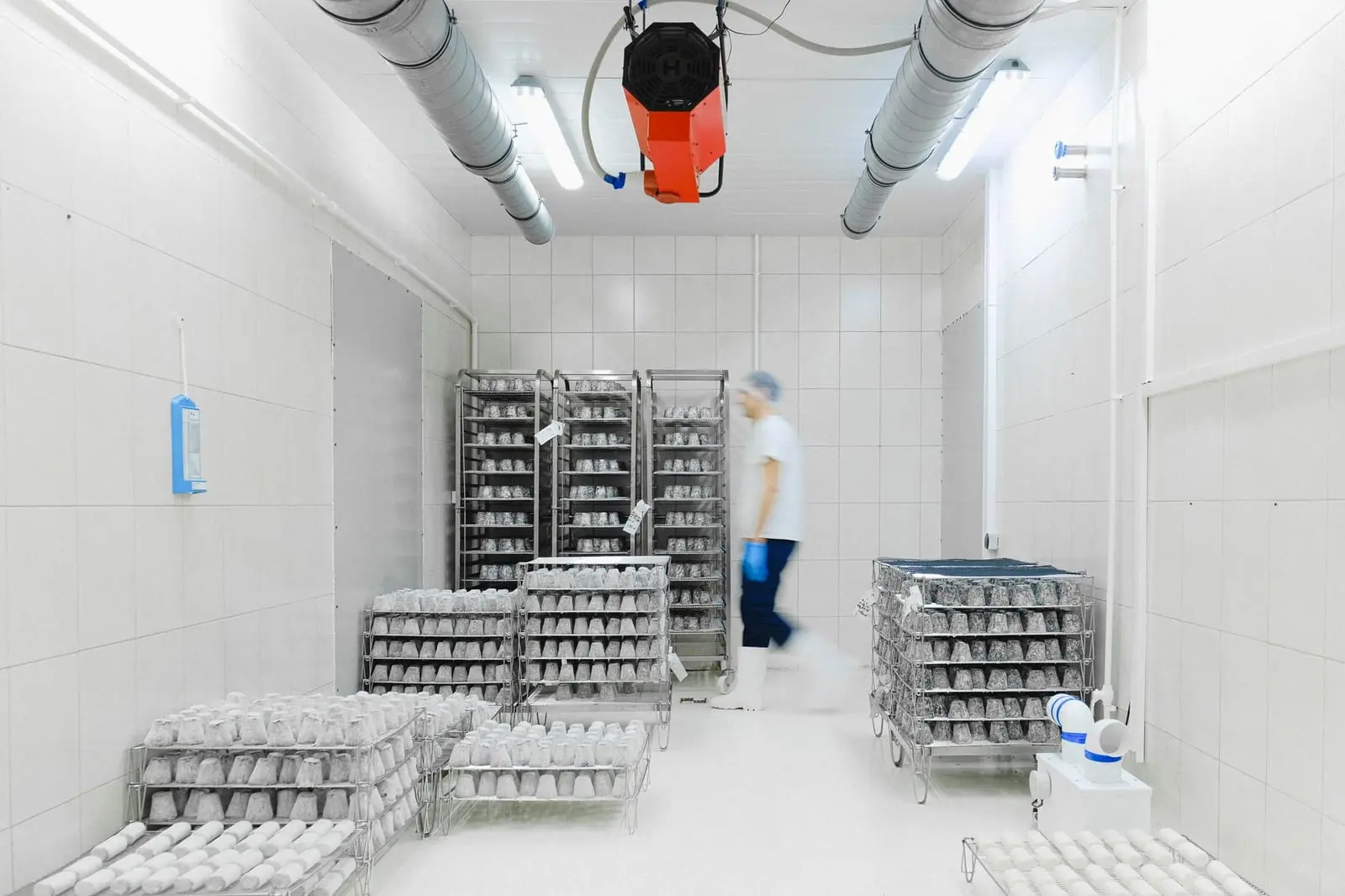 Inside a chilled cold room: insulated panel walls, a ceiling-mounted evaporator unit and its ducting, and racked trolleys of stock filling the floor, the cooling source and the load that together decide where the cold spots fall