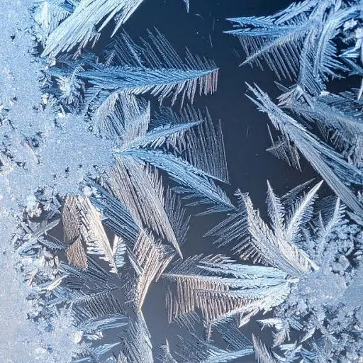 Dense feathered ice crystals formed across a frozen surface, the sub-zero condition an ultra-low temperature freezer mapping study has to characterise