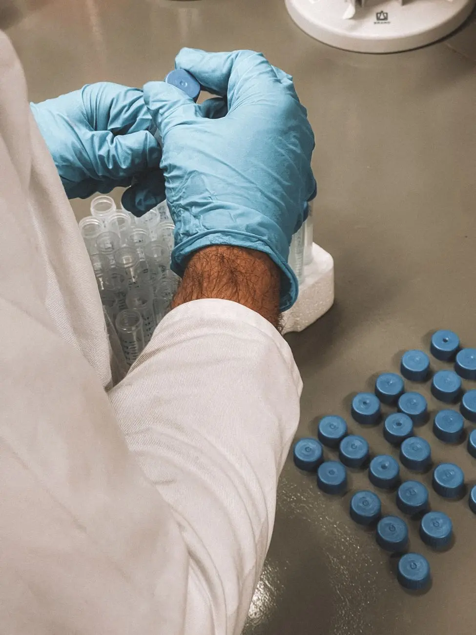 Gloved hands placing capped cryovials into a storage rack on a laboratory bench, the kind of irreplaceable research sample a university freezer estate holds