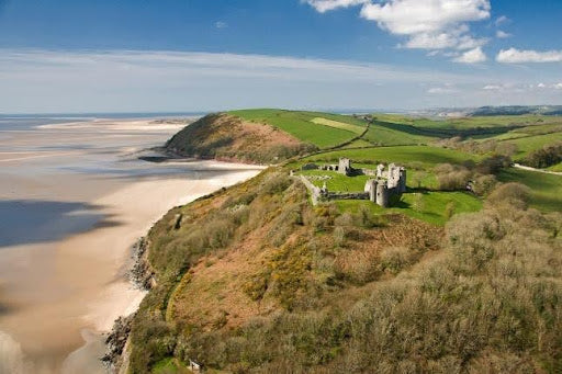 Carmarthenshire County Council